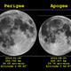 Illustration for article titled Sunday Night Will Be An Extraordinary Time For Skygazing